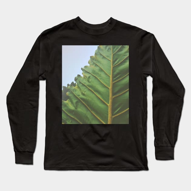 One Big Leaf Long Sleeve T-Shirt by oliviastclaire